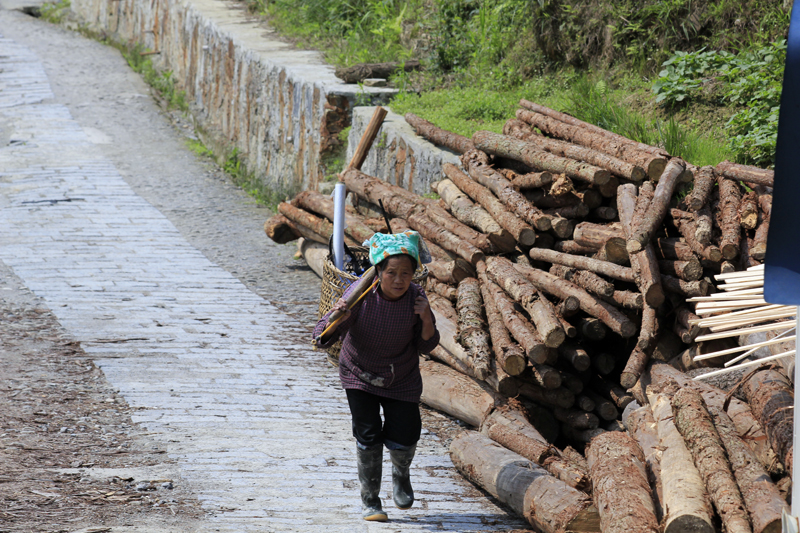 2017-04-12_105252 china-2017.jpg - Longsheng - Pingan - Reisterassen